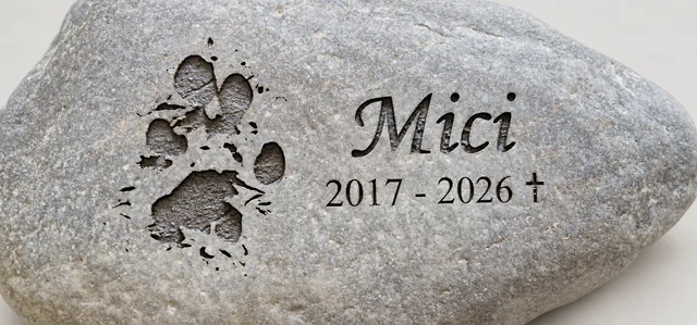 Podrobnost imena Mici in motiva tačke