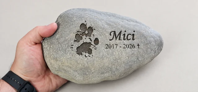 Kamen Mici v roki za primerjavo velikosti